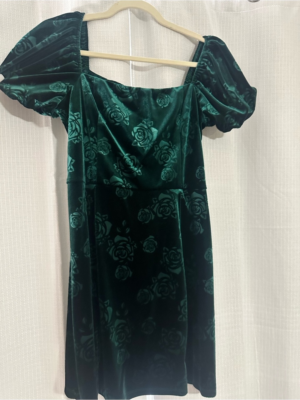 Francesca's Collections Emerald Green Velvet Floral Mini Dress